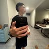 romi_tole