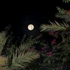 ghareeb011