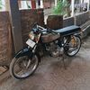 cbherex033