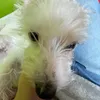 rozlie.chalupov