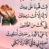 omar.abouazoum