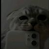 miatuprincesa3