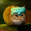 funny_cats55