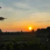 tamcaqn76