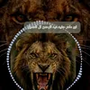 user4868062740383
