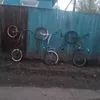 on_stunt12213