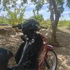 maulanamalikibrahim036