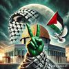 mahmoud.on35