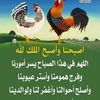 doda.mosa.ciam