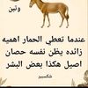 user2436858398402