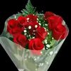 burte0946