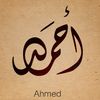 user45831817503311