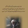 amir.rashid582