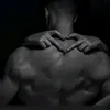 zv_a11