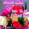 pqpkumari.p.q.pah
