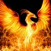 The Phoenix