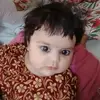 sayed.wali12shah