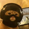 angry.cat.02