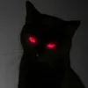 lightzpy0