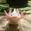 maxibratzzz
