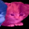 .katt000