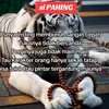rinatf507