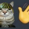 cat_ururur