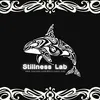 stillnesslab