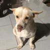 0buon0chiunoi