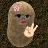 bbysyekk7