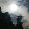 jibikashrestha71