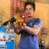phm.khc.giang