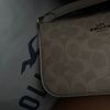 belaaa_rose1