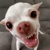 gondod8