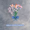 _vshaqs463