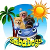 sabadogs_tiktok