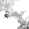 cinger_grp
