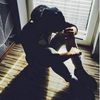 ahmad.dsh