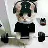 awrxod