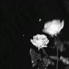 _szf328