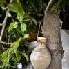 صدقة جارية 🌱