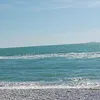 francifazzo2005