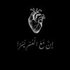 lolamohamed7097