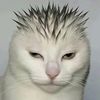 bakemon89