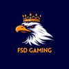 fsd.gaming202