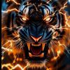 shaanrana48