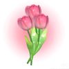 diyaadiya8