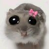 juicy_meow123