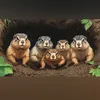 Marmotvideo