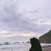 akun.ngemils